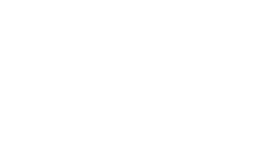 Hirschstein Logo